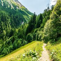 weg alpenhaus kesselfall - mooserboden_img_83119127