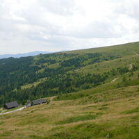 der Rückweg über die Forststraße