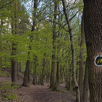 Frühling am Nuff und Nopp