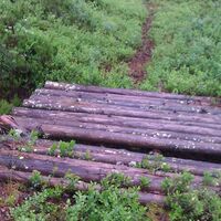 FLUSS KYYNÄRPÄÄNJOKI WANDERWEG