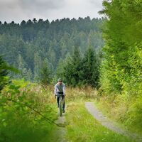 Manchmal öffnet sich der Blick auf die bewaldeten Höhen wie hier kurz nach Altensteig-Überberg