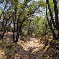 circuit_camins von Tourbes