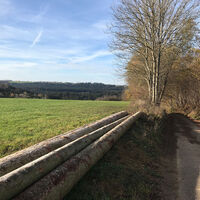 Oben ein Blick Richtung Hintersteinenberg über das Reichenbachtal hinweg