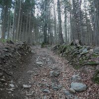 im steilen Anstieg über den Nordwestkamm