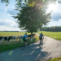 Radfahrer an Weide