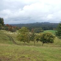 Blick zum Altenberg Turm