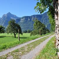 Ausgangs Weesen mit Blick auf die Glarner-Alpe