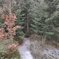 Rückweg gleich nach dem Gipfel
