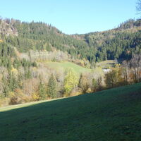 Aufstieg zum Falkenstein