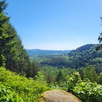 Aussicht in Richtung der Reichsburg Trifels