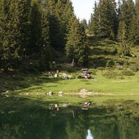 Idyllische Feuerstelle am Oberen Prätschsee