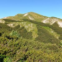 Mieserkogel