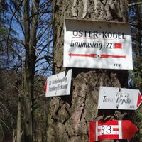 Wegkreuzung nahe Osterkogelgipfel