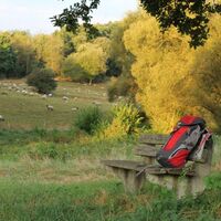 Rastbank am Preußensteig