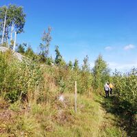ROUTE DER GRENZEN, PARIKKALA