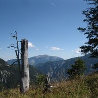Hinternaßwald - Grenzriegel - Amaißbichl