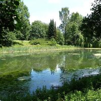Kurpark Randringhausen