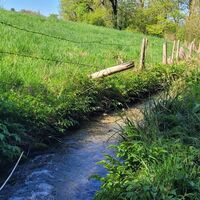 Bächle bei Ollarzried