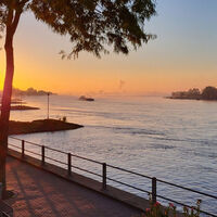 Sonnenaufgang am Rhein