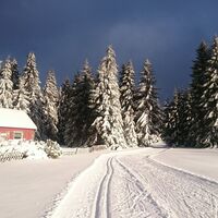 Loipe um den Saarberg