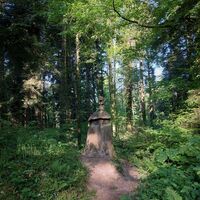 Wald Rothonne bei Belley