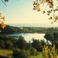 Möggingen Mindelsee