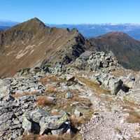 Steinfelden unter Hochhaide