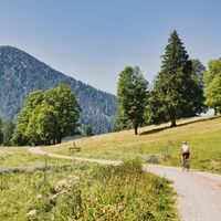 Höhenreithalm