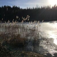 Der Heidemühlenteich in der Dippser Heide im Winter