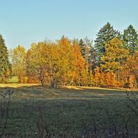Ohrdruf Flächennaturdenkmal Kuhhalterwiese