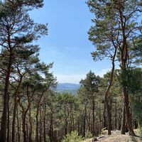 Aussicht am Leininger Burgenweg