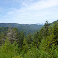 Aussicht vom "Großvaterstuhl" über das Gutachtal