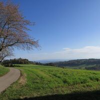 H chenschwand 6