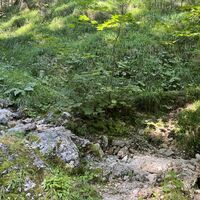 Hier rüber (heut ist das Bacherlwasser nicht sichtbar)