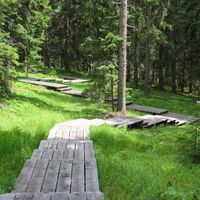 Holzsteg zeigt den Grundriss des Mailänder Doms