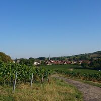 Blick auf Siebeldingen