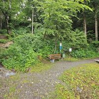 Fallersee Umkehrpunkt