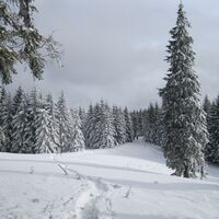 Feistritzsattel - Schöberlriegel