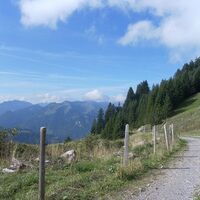 Breiter Güterweg im Gebiet von Rindberg