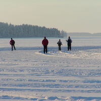 Eisloipe rund um Lammassaari