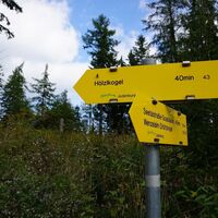 Ab der Kreuzung mit Wanderweg 43 auf der Markierung zum Hölzlkogel - Wanderweg 43 - bleiben