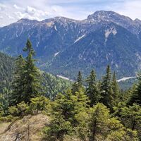 Blick zur Kreuzspitze und ins Tal der Linder