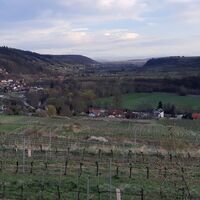 Blick nach Schönberg am Kamp