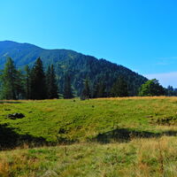 Niederalpl - Hohe Veitsch - Seewiesen