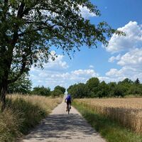 Radfahren in Ubstadt-Weiher