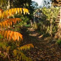 Herbst_Pilgern_St. Georgen_Längsee