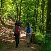 vom Kurpark zum Windhof