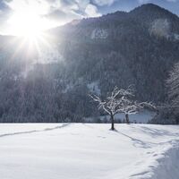 Winterwandern Reith