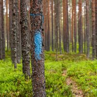 Lehmijoen Naturpfad