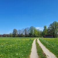 Festenbach, kurz vor der Mangfall